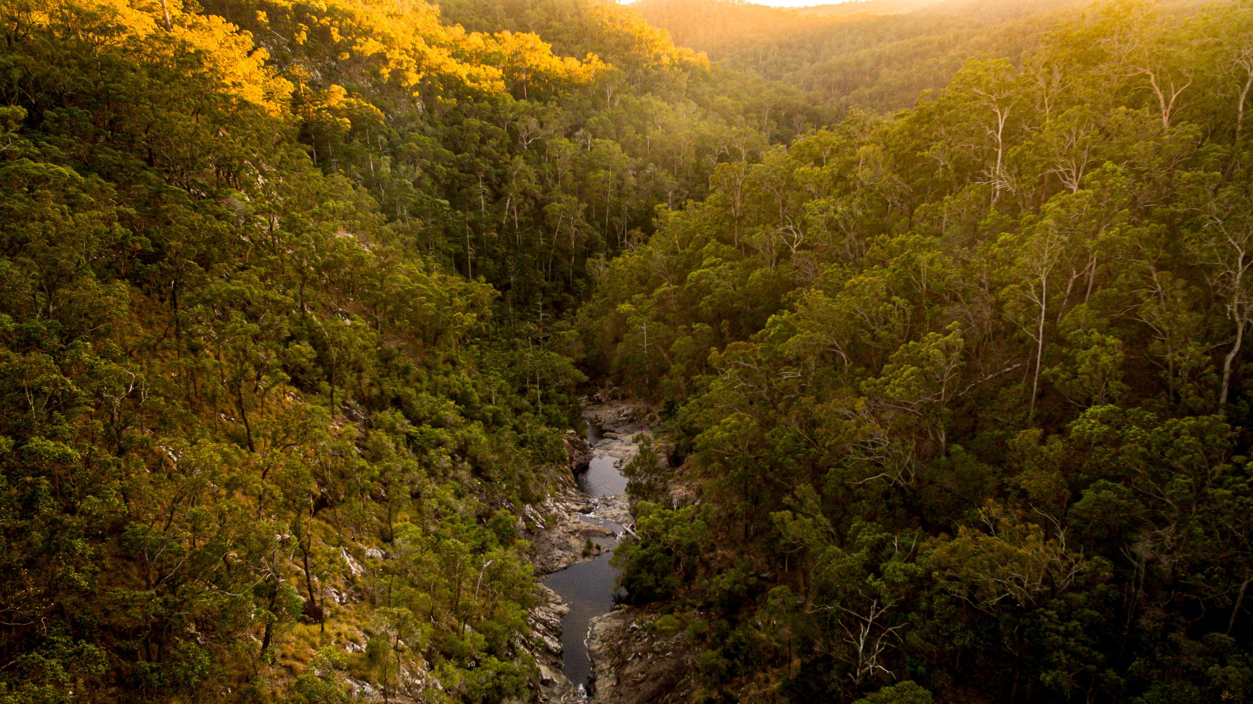 Hiking trail Tamborine Mountain