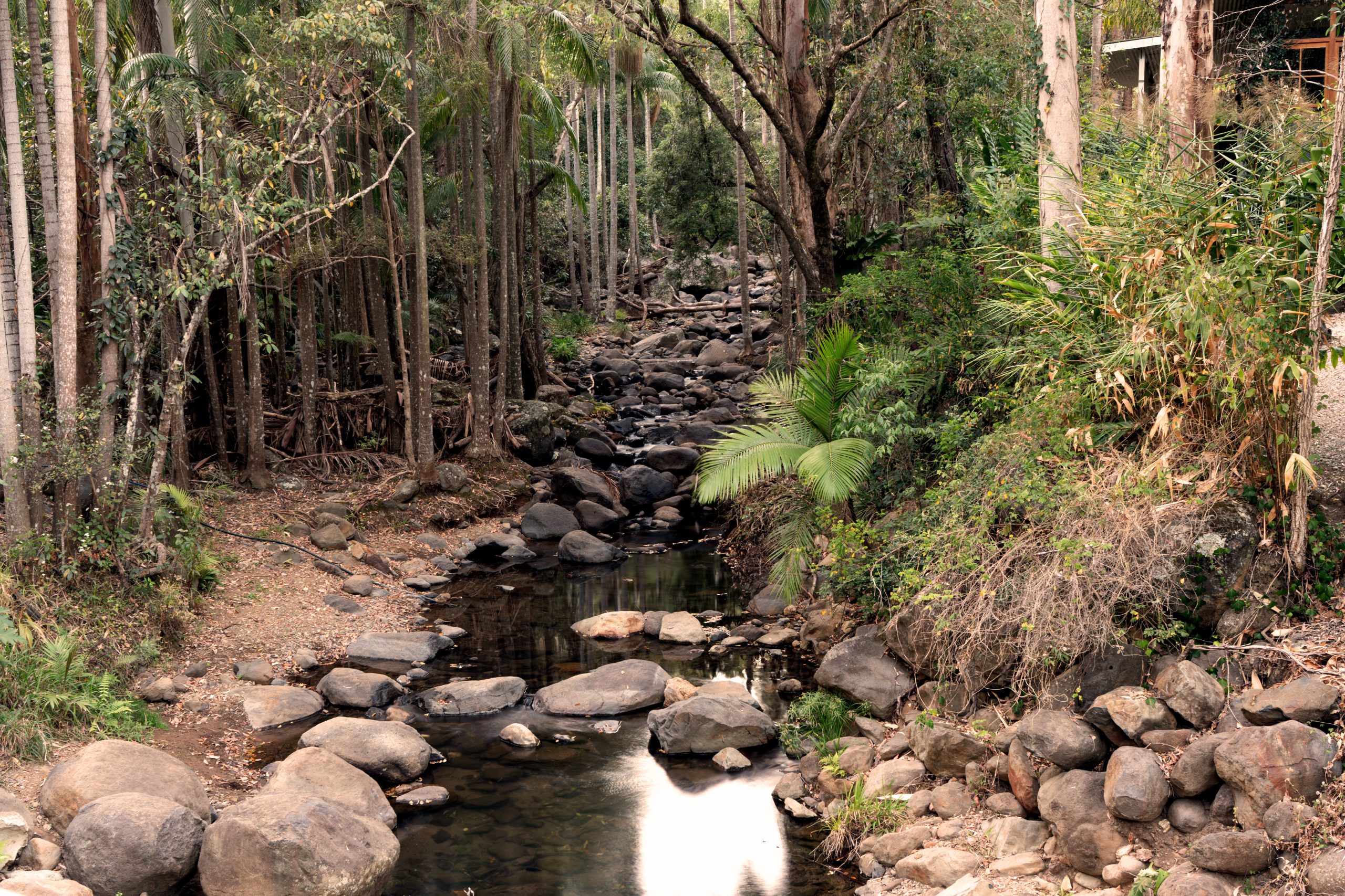Cedar Creek at Tamborine Mountain